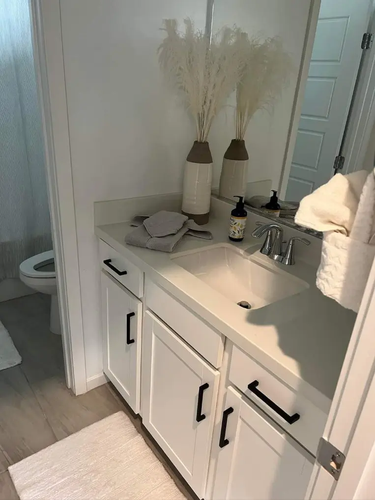 Bathroom Cleaning Bathroom Cleaning