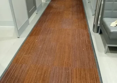 Local Home Cleaning Service