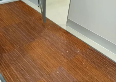 Local Home Cleaning Services