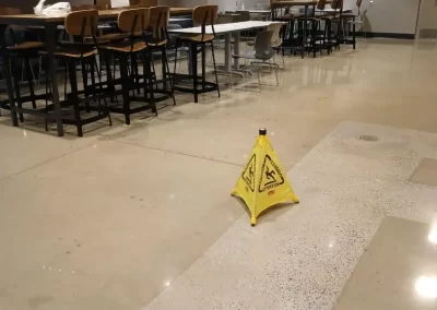 Professional Cleaning Service