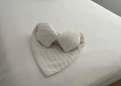 Professional House Cleaning